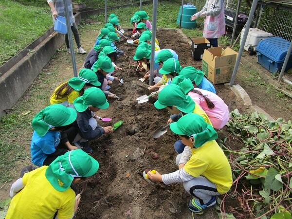 https://www.kinder.tohoku-gakuin.ac.jp/blog/content/098c5cf97f095dab067316a627ea8a5c7f440afe.jpg