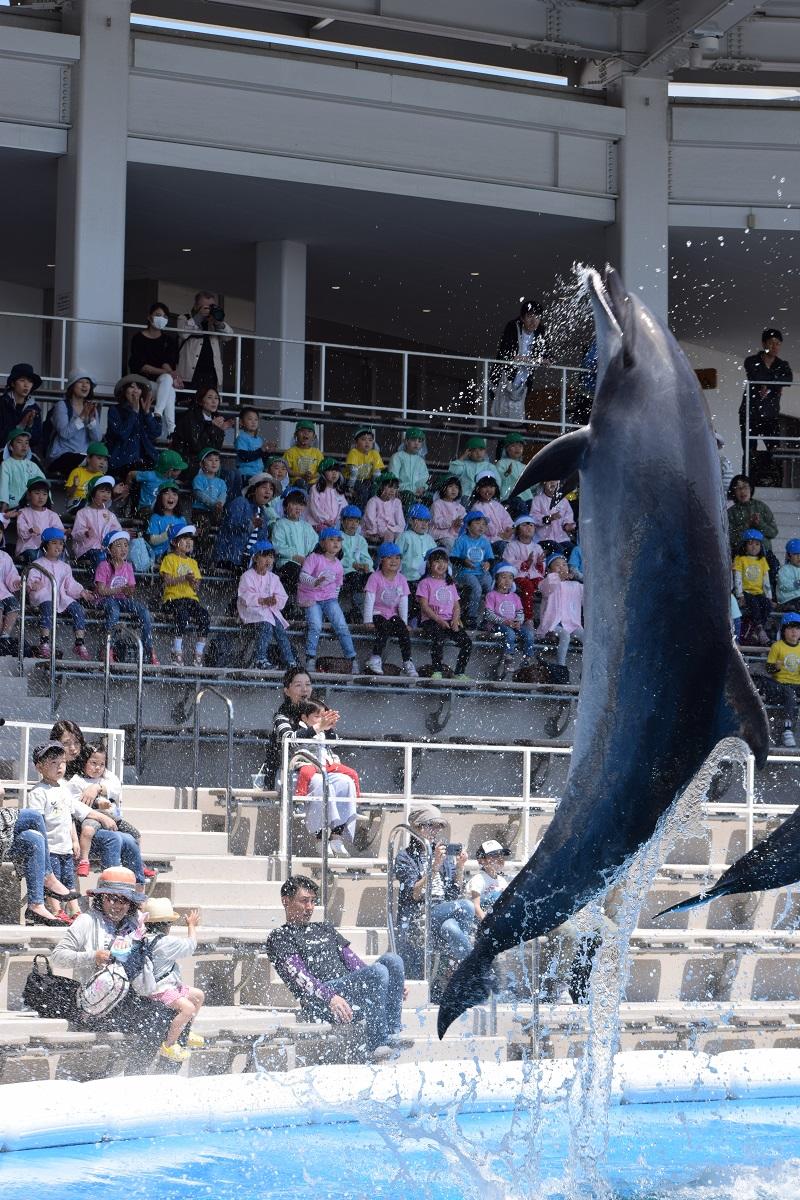 https://www.kinder.tohoku-gakuin.ac.jp/blog/content/12129cbb74c6ed4c84be68310ac5f6eb7e0810c7.jpg