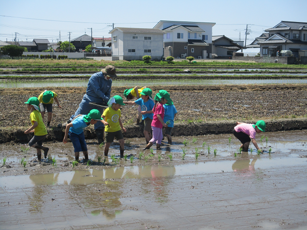 https://www.kinder.tohoku-gakuin.ac.jp/blog/content/24f5f989fad401dedfa1b09a071737e38f228f6f.png