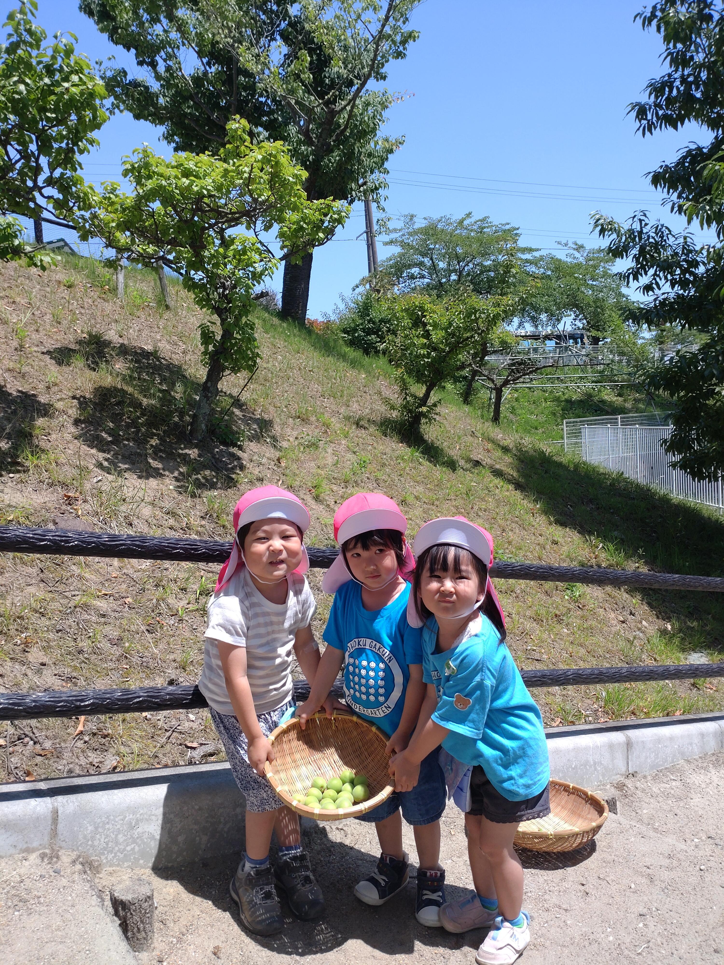 https://www.kinder.tohoku-gakuin.ac.jp/blog/content/3f01a06bd5f493b70b08896cfca483a508186c5b.JPG