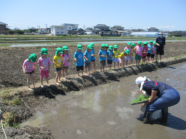 https://www.kinder.tohoku-gakuin.ac.jp/blog/content/9f7f3e5eaf2bd5d9bf816d78f50fae8ecccd7a62.png