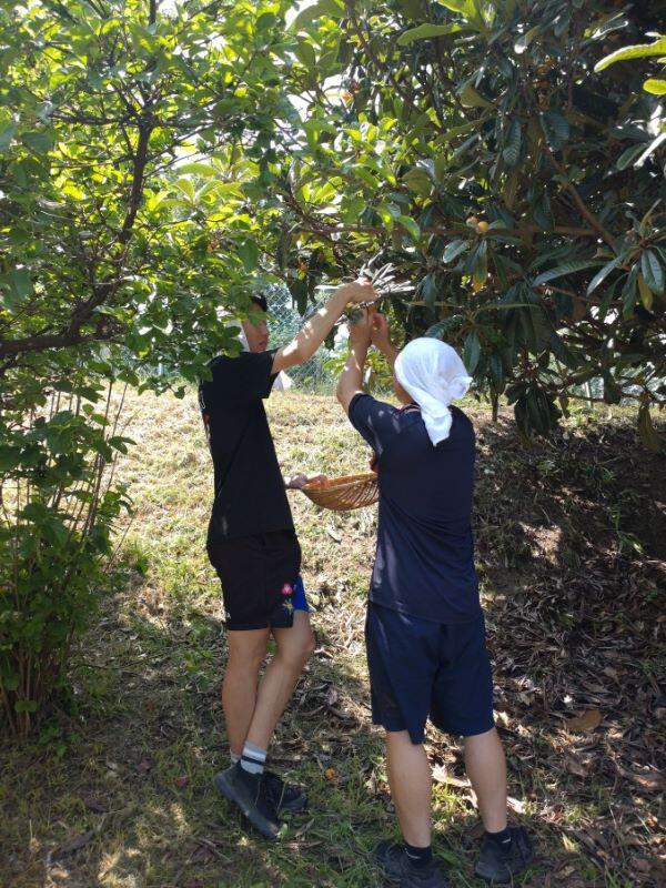 https://www.kinder.tohoku-gakuin.ac.jp/blog/content/DSC_1615.JPG
