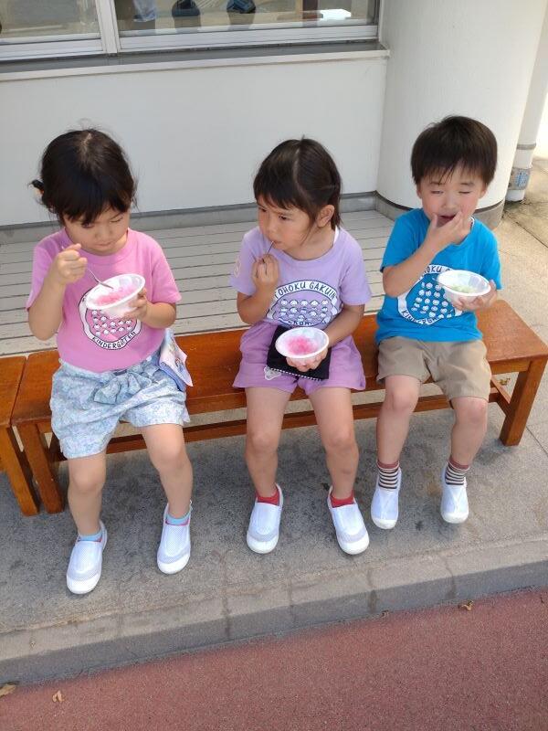 https://www.kinder.tohoku-gakuin.ac.jp/blog/content/DSC_1687.JPG