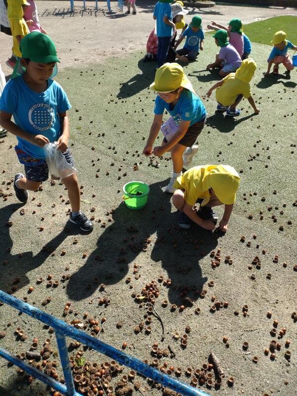 https://www.kinder.tohoku-gakuin.ac.jp/blog/content/DSC_1715.jpg