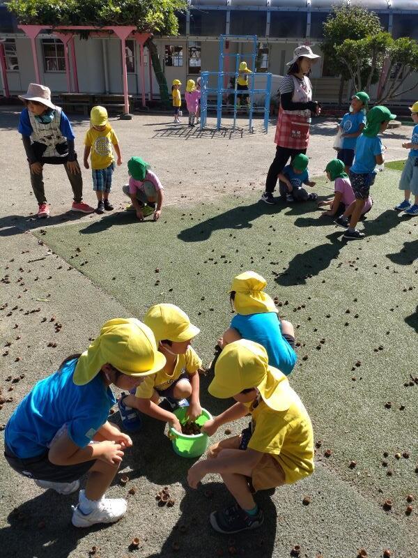 https://www.kinder.tohoku-gakuin.ac.jp/blog/content/DSC_1719.JPG