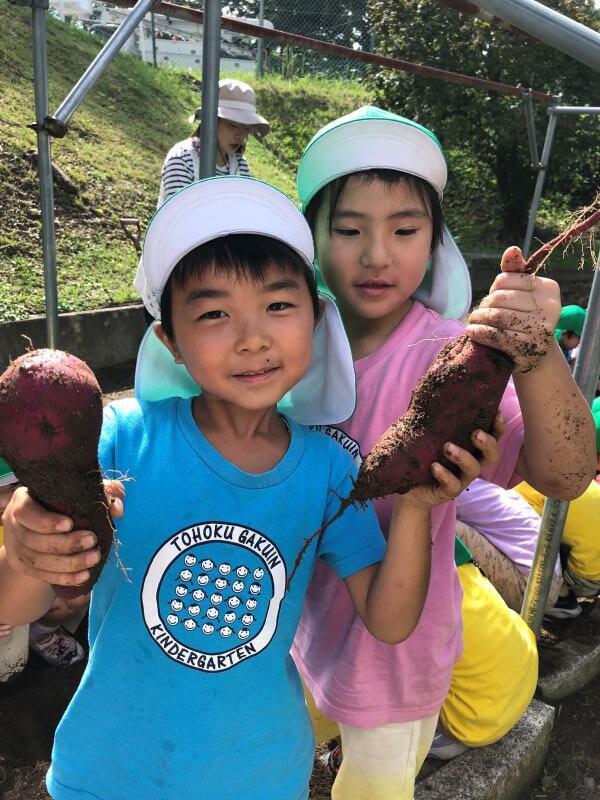 https://www.kinder.tohoku-gakuin.ac.jp/blog/content/IMG_3220.jpg